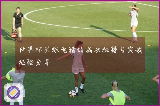 世界杯买球竞猜的成功秘籍与实战经验分享
