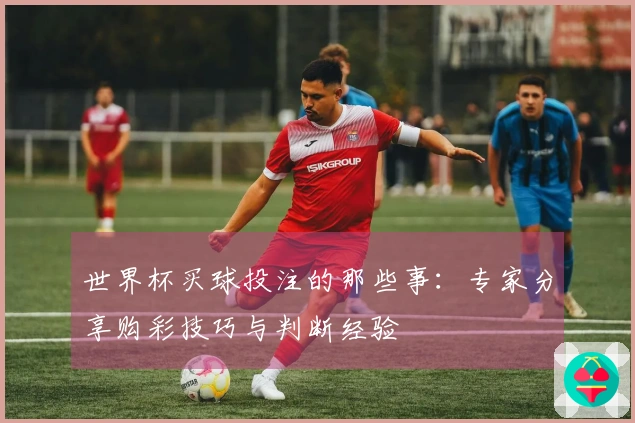 世界杯买球投注的那些事：专家分享购彩技巧与判断经验