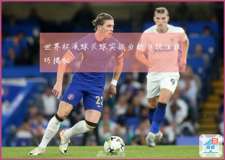 世界杯滚球买球实战分析与投注技巧揭秘